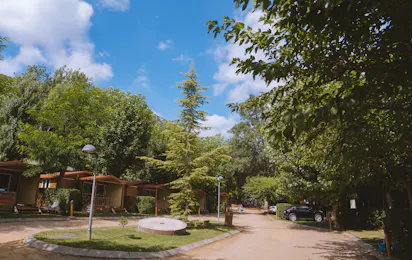 TAIGA Bassegoda Park