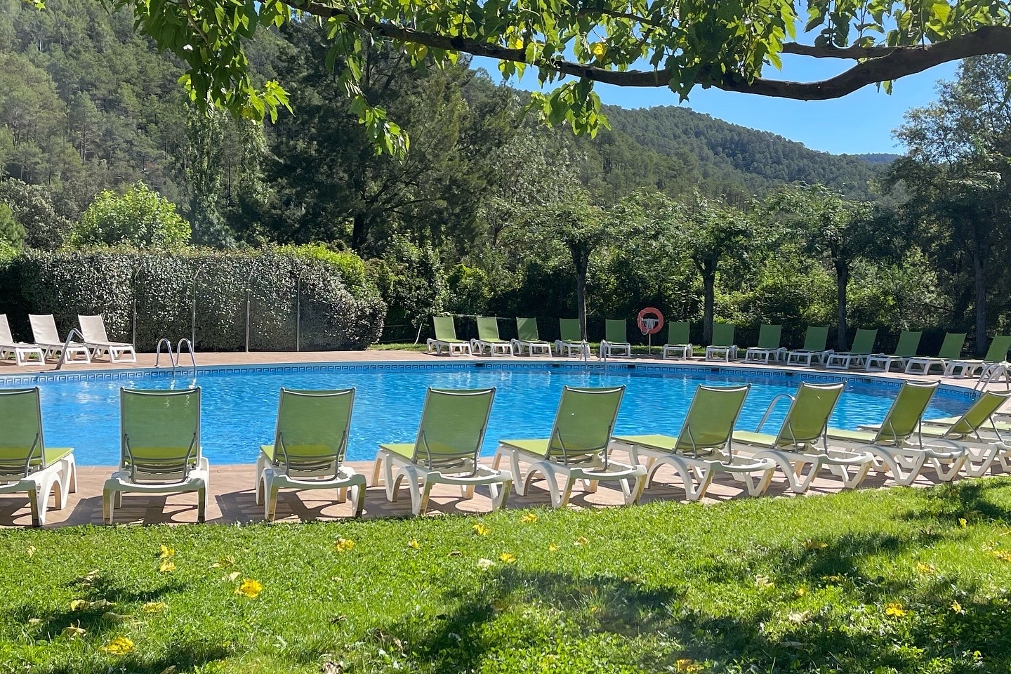 TAIGA Bassegoda Park  Camping Bassegoda Park - Pool mit Liegestühlen