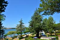Camping Beau Rivage Pareloup - Zeltplätze im Schatten der Bäume mit Blick auf den Pareloup See