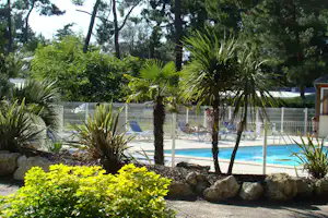 Blick auf den Pool hinter einem Zaun, umgeben von Palmen, Sträuchern und Kiesweg im Campingbereich.