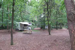 Wohnmobil auf einem Campingplatz im Wald, mit Vorzelt und Tisch vor dem Fahrzeug zwischen Bäumen.