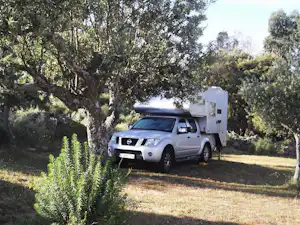 Wohnmobil auf dem Campingplatz neben einem Baum, mit Pickup und geöffnetem Kofferaufbau im Grünen.