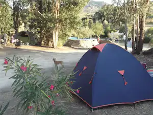 Camping Beirã-Marvão Alentejo - Zeltplatz aud dem Campingplatz