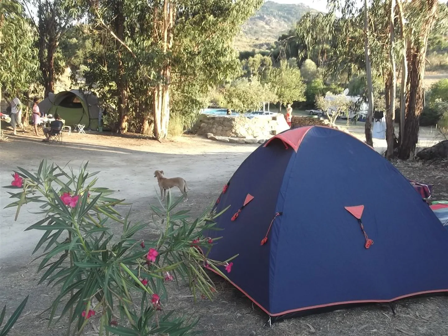 Campscape Beira Marvao Alentejo