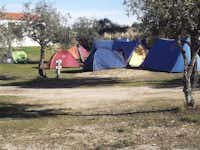 Camping Beirã-Marvão Alentejo -  Zeltplatz  auf dem Campingplatz