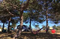 Camping Bel Sito - Wohnwagen mit Hängematten, die zwischen Bäumen aufgespannt sind, im Vordergrund