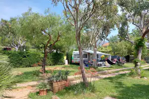 Camping Bella Vista - Standplätze zwischen Bäumen und kleinen Sträuchern