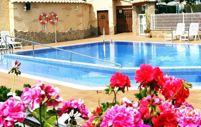 Camping Bellavista (Águilas)