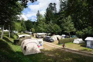 Campingplatz mit Zelten und Wohnwagen auf einem Kiesweg, umgeben von Bäumen und viel Grün im Hintergrund.