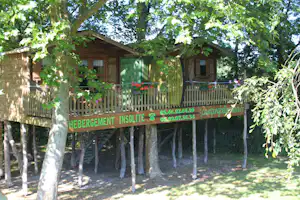 Holzunterkunft im Campingwald mit Veranda, Blumenampeln und grüner Beschilderung zwischen Bäumen.