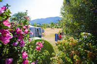 Camping Belle Roche - Wohnwagen- und Zeltstellplatz