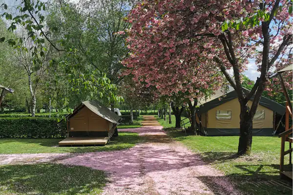Camping Belle-Vue 2000