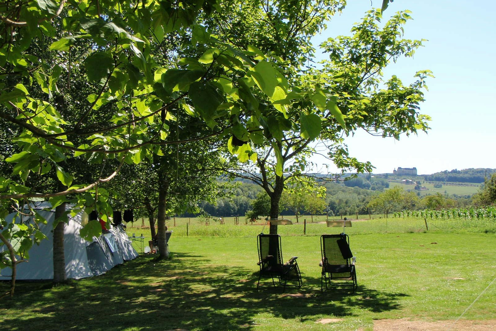 Camping Belle Vue - Liegestühle unter einem Baum vor einem Standplatz auf der Wiese