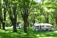 Camping Bellerive  -  Stellplatz vom Campingplatz auf grüner Wiese zwischen Bäumen