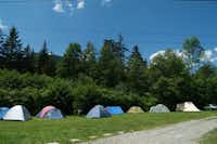 Camping Bellerive - Zelte auf der Zeltwiese