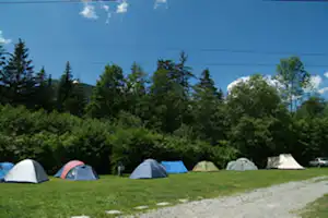 Mehrere Zelte auf einer grünen Wiese, im Hintergrund Bäume und ein Weg am Campingplatz.