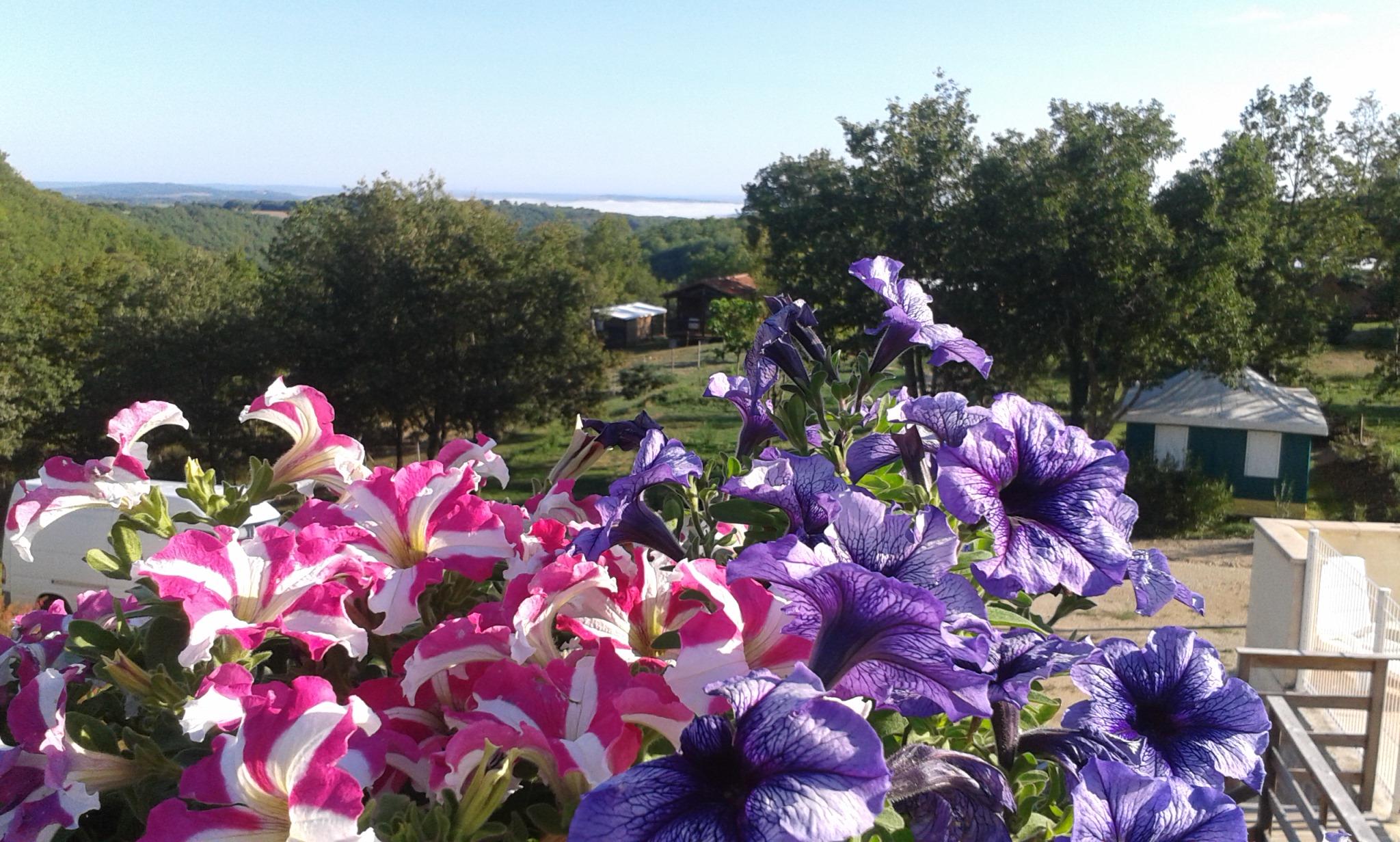 Camping Bellevue (Reilhaguet)