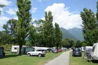 Camping Bellinzona - Wohnwagen- und Zeltstellplatz zwischen Bäumen