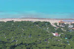 Luftaufnahme von einem Strand mit vielen Liegen, dahinter das Meer und Olivenhaine mit Wegen und Gebäuden.