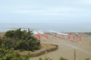 Reihe von Strandliegen mit Sonnenschirmen am Campingstrand, dahinter das Meer und ein Zaun entlang des Weges.