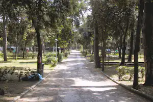 Schmale Allee auf dem Campingplatz mit Bäumen, Kiesweg und Laternen entlang der Stellplätze.