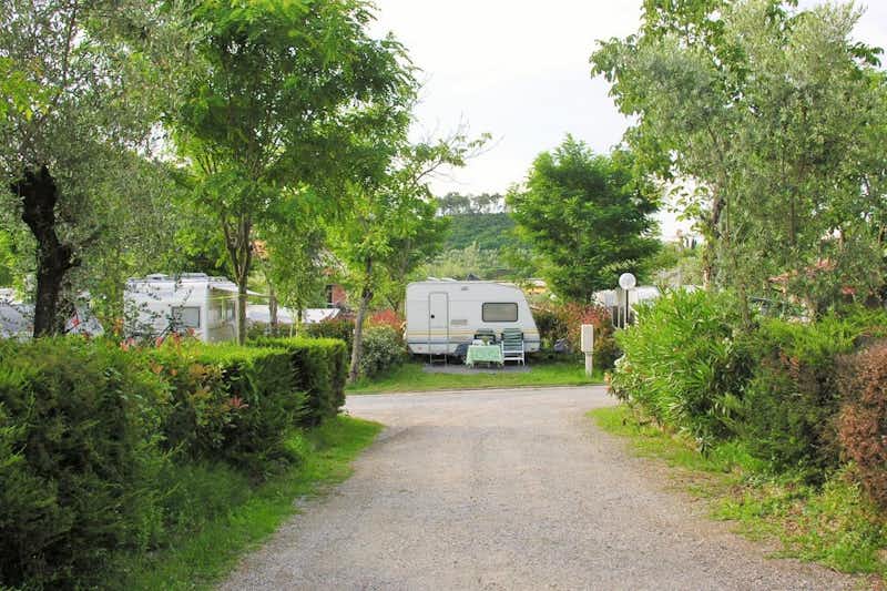 Camping Belsito - Wohnwagen- und Zeltstellplatz zwischen Bäumen auf dem Campingplatz