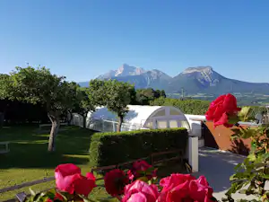 Weiße Zelte auf einem Campingplatz, umgeben von Bäumen und Hecken, mit Bergblick im Hintergrund.