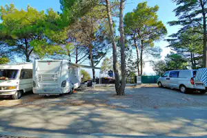 Wohnmobile und Transporter stehen auf einem Campingplatz-Parkplatz zwischen hohen Bäumen.