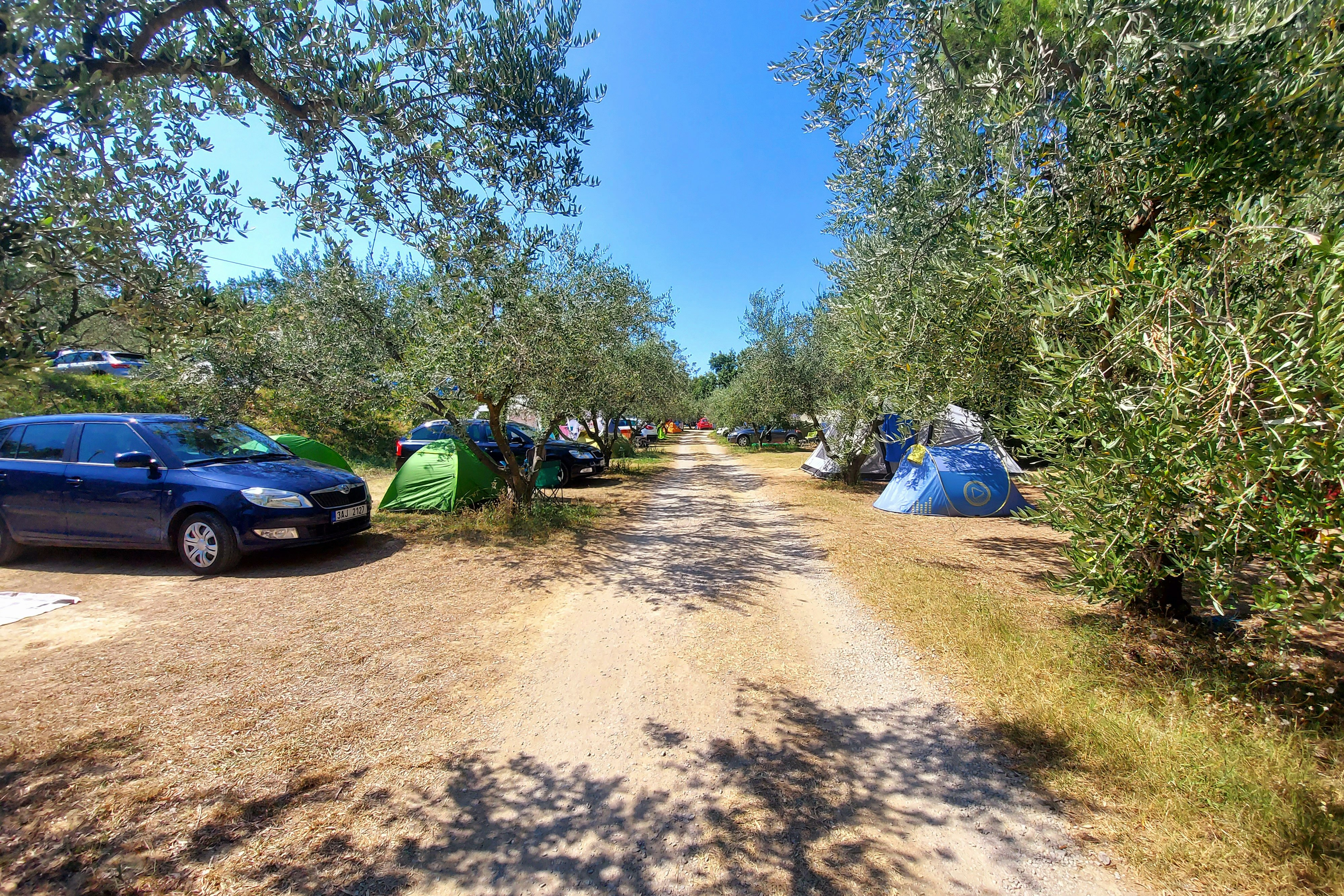 Camping Belvedere - Izola - Zelt- und Stellplätze auf dem Campingplatz