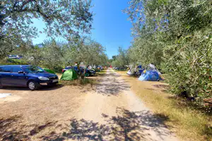 Campingplatz-Weg mit Zelten und Wohnwagenstellplätzen, daneben geparkte Autos und Bäume am Rand.