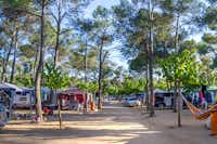 Camping Benelux - Campingbereich für Zelte und Wohnwagen von Bäume umgeben