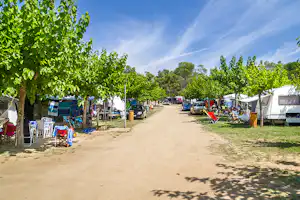 Campingplatz-Allee mit Zelten und Wohnwagen, Sitzgelegenheiten unter Bäumen und einem Weg zwischen den Stellplätzen.