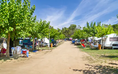 Camping Benelux (Palamós)