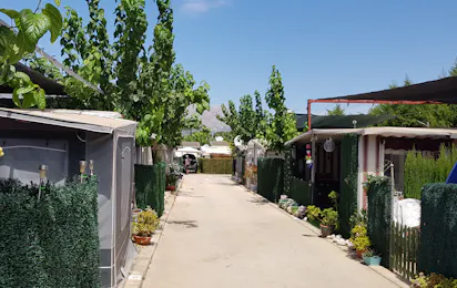 Camping Benisol