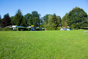 Camping Berg - Zeltwiese mit dahinterliegenden Stellplätzen unter Bäumen