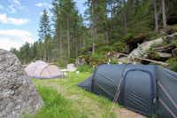 Camping Bergkristall Pfelders - Zeltplatz im Grünen