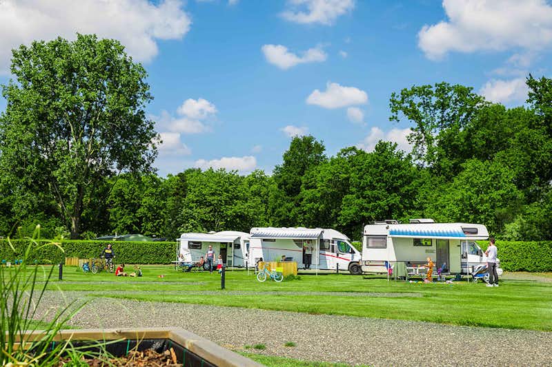 Camping Beringerzand - Standplätze im Grünen auf dem Campingplatz