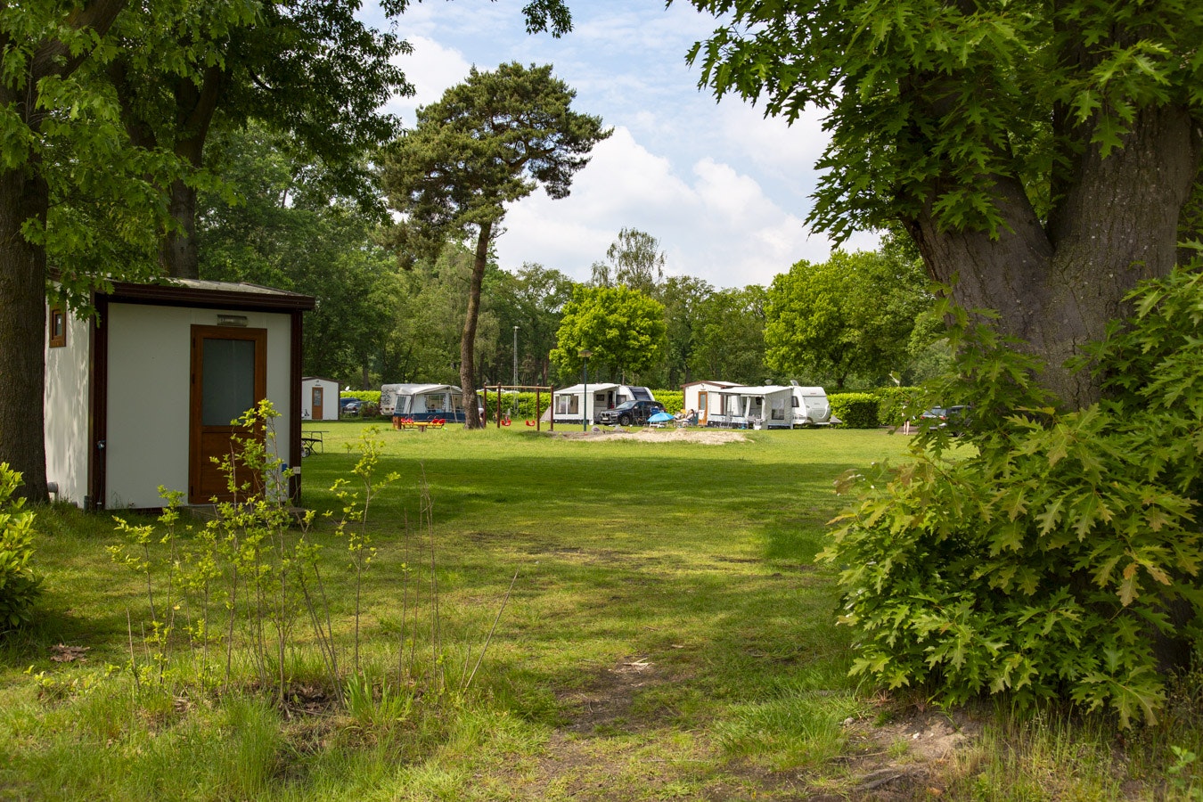 Grüner Campingplatz mit Rasenfläche, Bäumen und mehreren Wohnmobilen sowie Mobilheimen entlang des Weges.