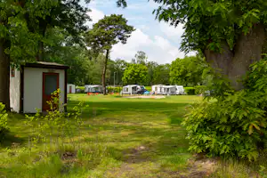 Grüner Campingplatz mit Rasenfläche, Bäumen und mehreren Wohnmobilen sowie Mobilheimen entlang des Weges.