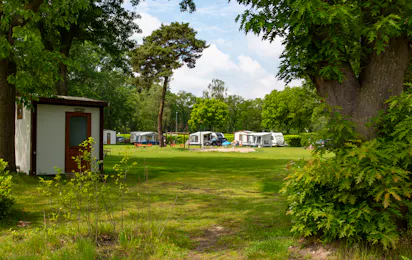 Camping Beringerzand