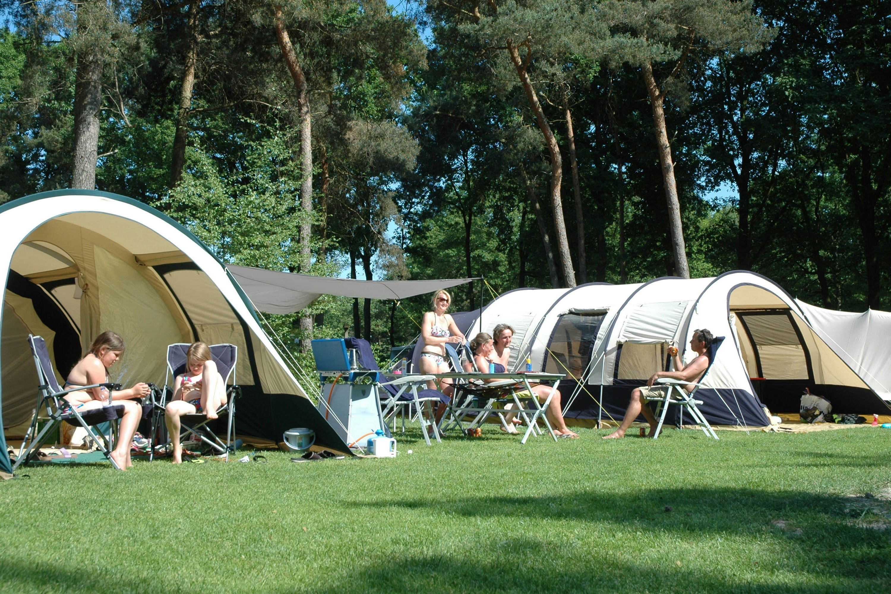 Camping Beringerzand - Zelte auf der Zeltwiese mit davor sitzenden Campern