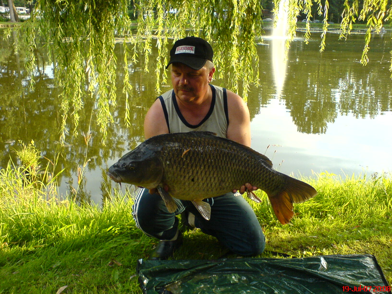 Camping Berkenstrand