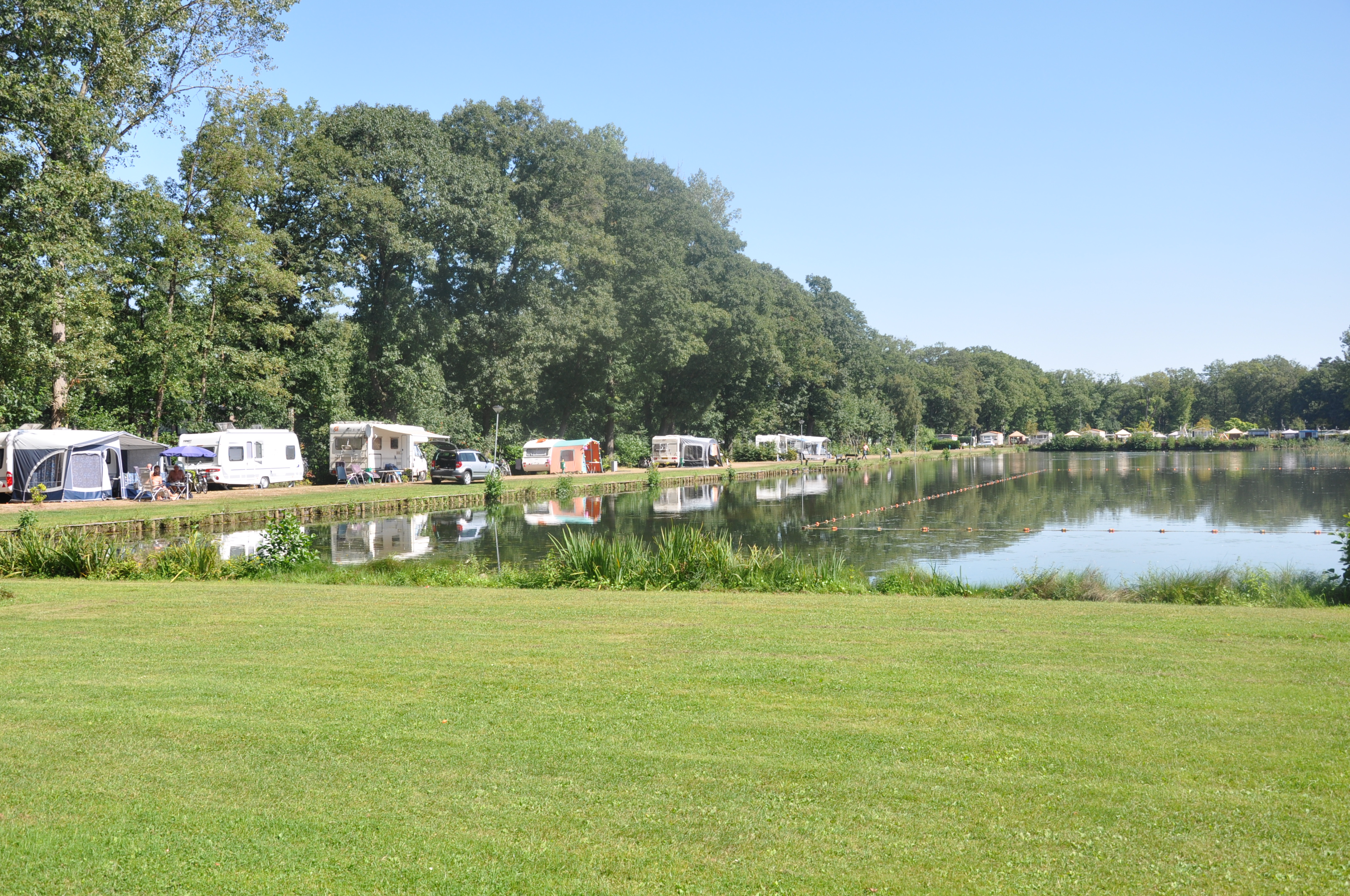 Camping Berkenstrand