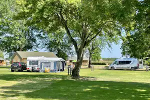 Camping Betuwe - Stellplatzwiese