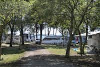 Camping Bi Village -  Wohnwagen- und Zeltstellplatz unter Bäumen auf dem Campingplatz
