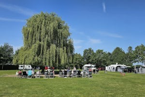 Camping Biej de Vogel - Standplatzwiese auf dem Campingplatz