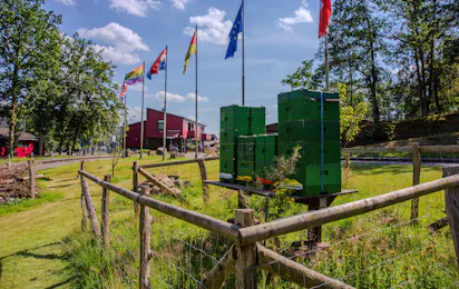Camping Biggesee-Vier Jahreszeiten