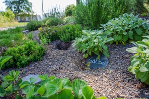 Camping Biggesee-Vier Jahreszeiten - Kräutergarten auf dem Campingplatz