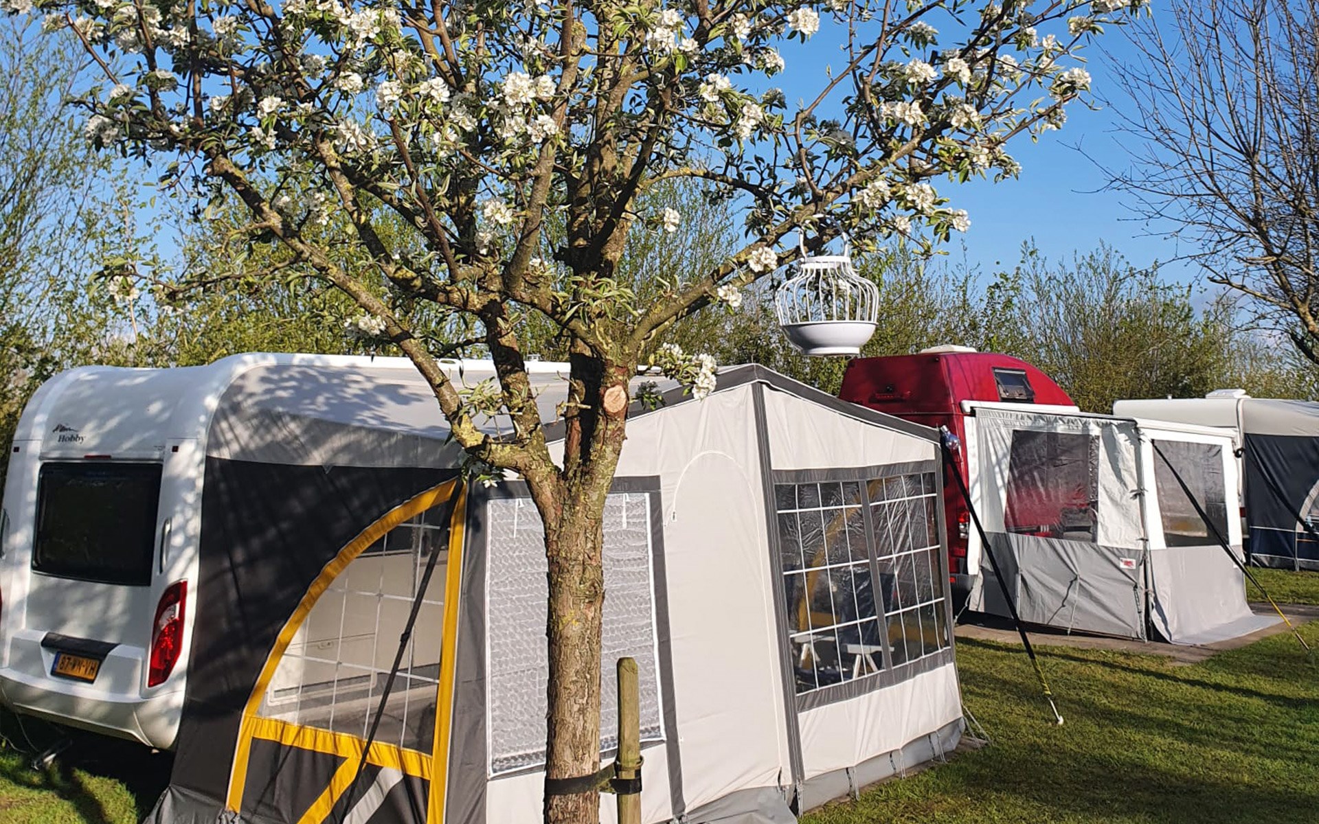 Camping Bij Groen Geluk