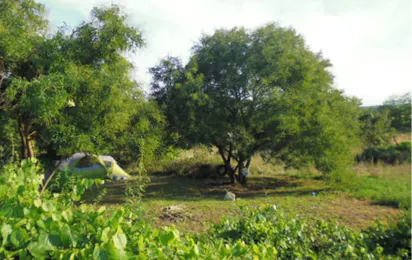 Camping Bij het oude landhuis